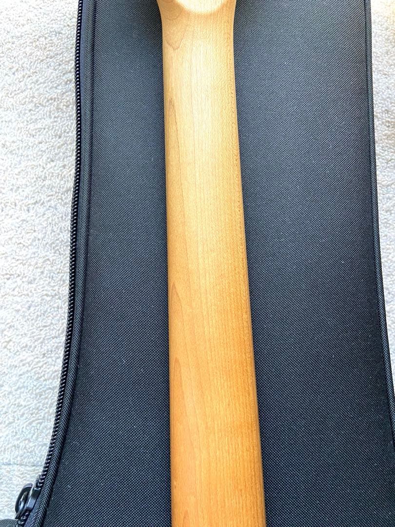 Kiesel Solo テレキャスタイプ ドロップチューニング