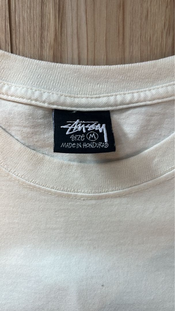 Stussy VENUS OVAL PIG. DYED Tシャツ