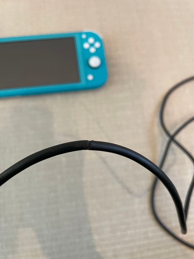 Nintendo Switch Lite ターコイズ 本体+充電器おまけ