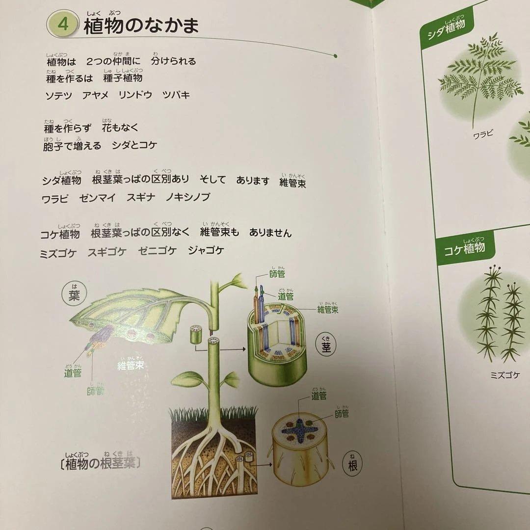 七田式　理科ソング・社会科ソング 4冊セット