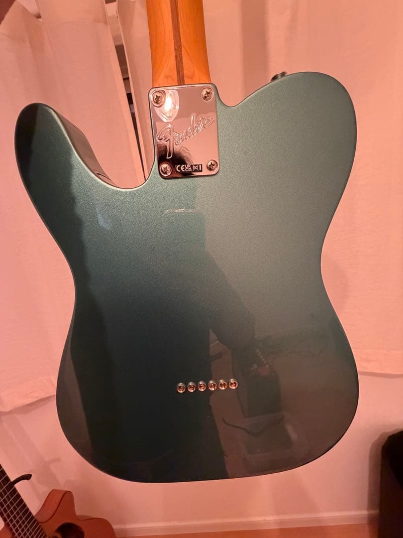 ギター Fender Telecaster American Professional