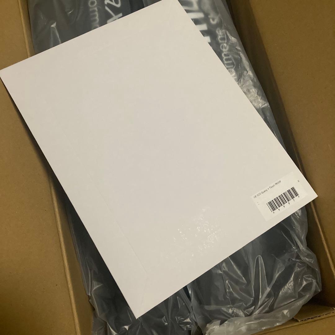 マキシマムザホルモン アウトドアチェア 2脚セット 限定プルーフ付き 新品未使用