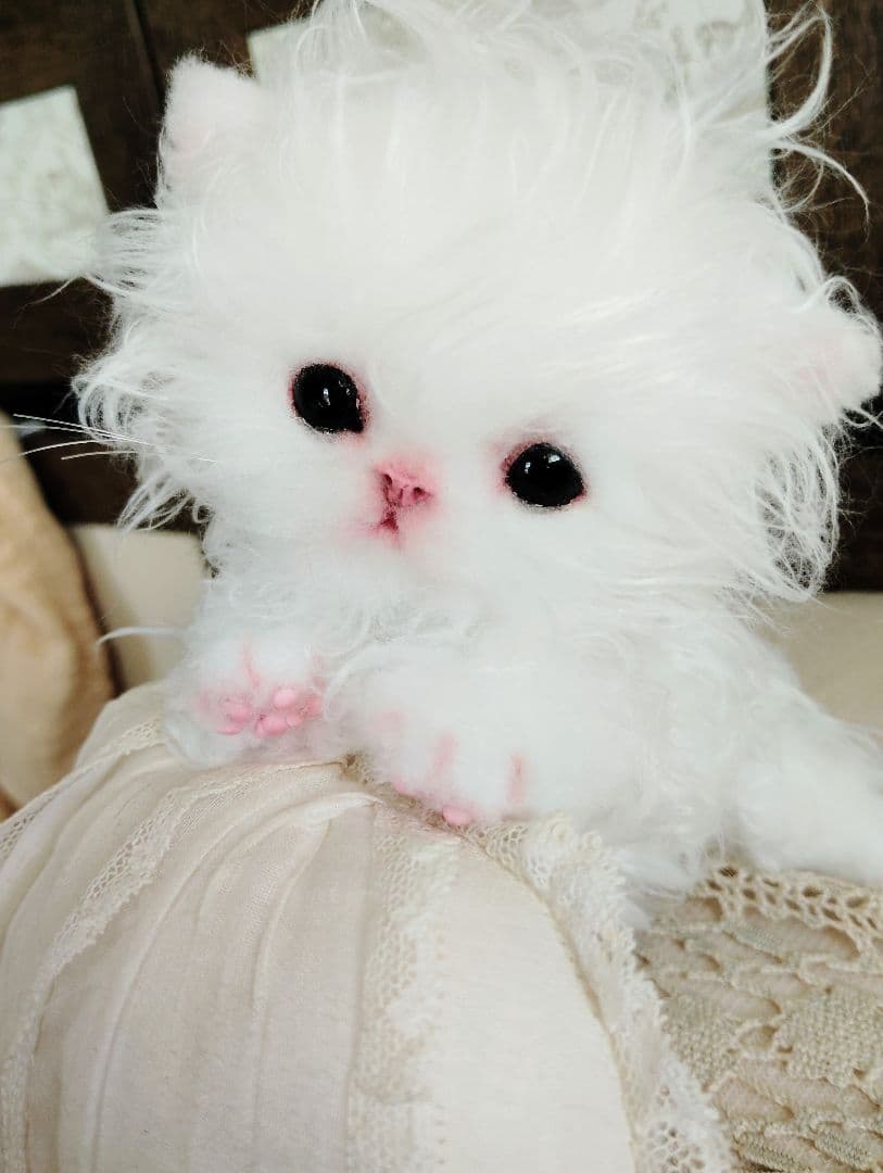 セルカークレックス子猫♡よちよち期♡癖っ毛のララちゃん♡アートドール♡ぬいぐるみ