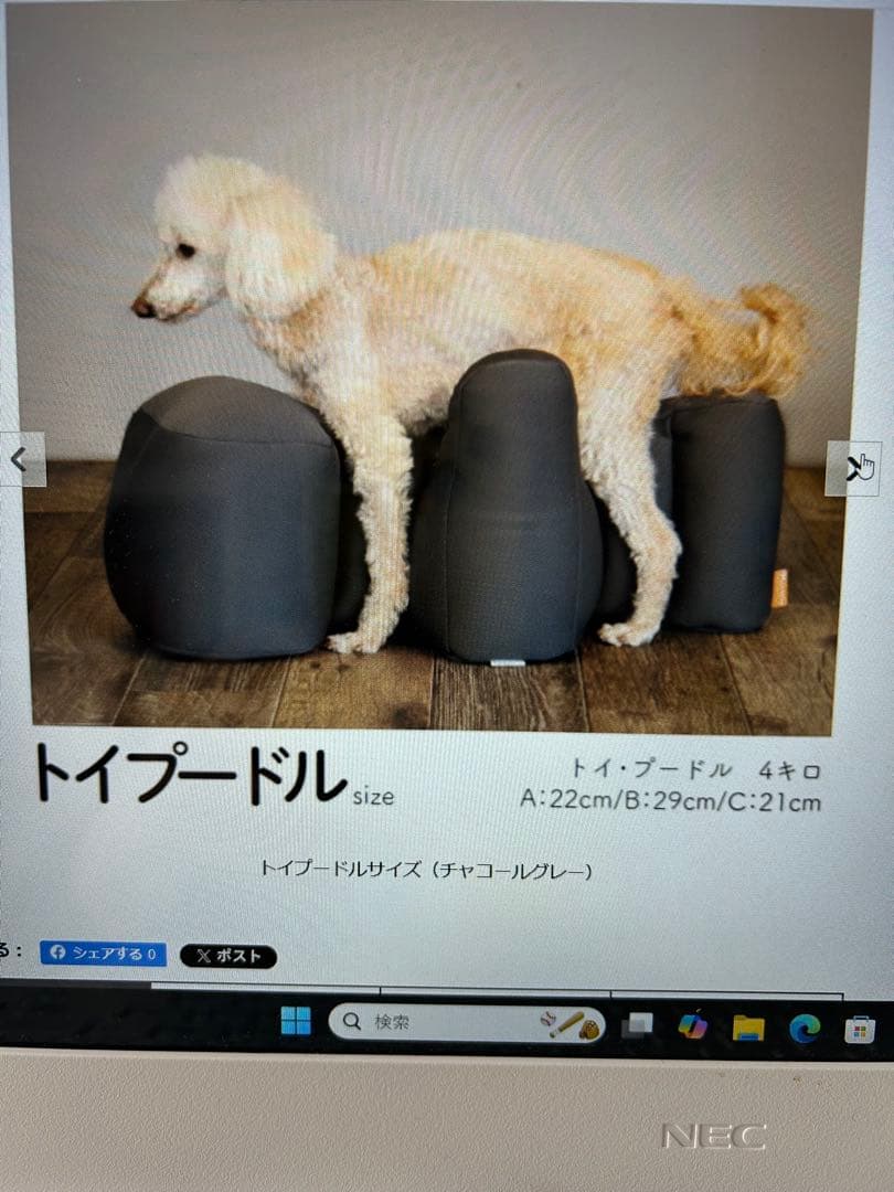 トイプードル用　床ずれ予防・介護用クッション チャコールグレー　カバー付き