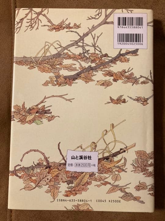 【貴重】きのこの名優たち