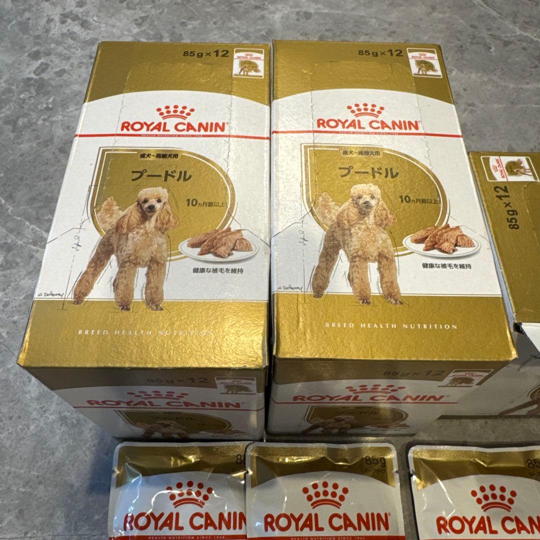  CANIN プードル ウエットフード 85g