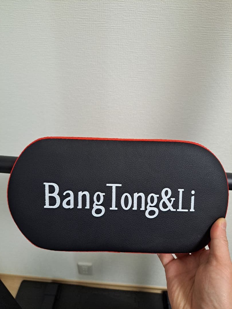 【美品】BangTongLi ぶら下がり健康器 多機能 応用多数（送料込み）