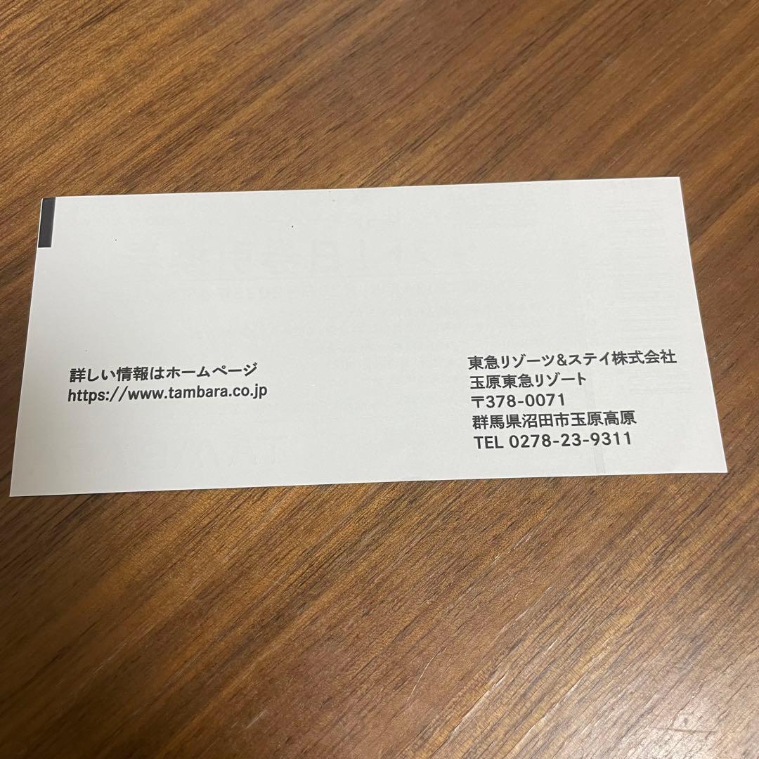 たんばらスキーパーク リフト1日券 2枚セット