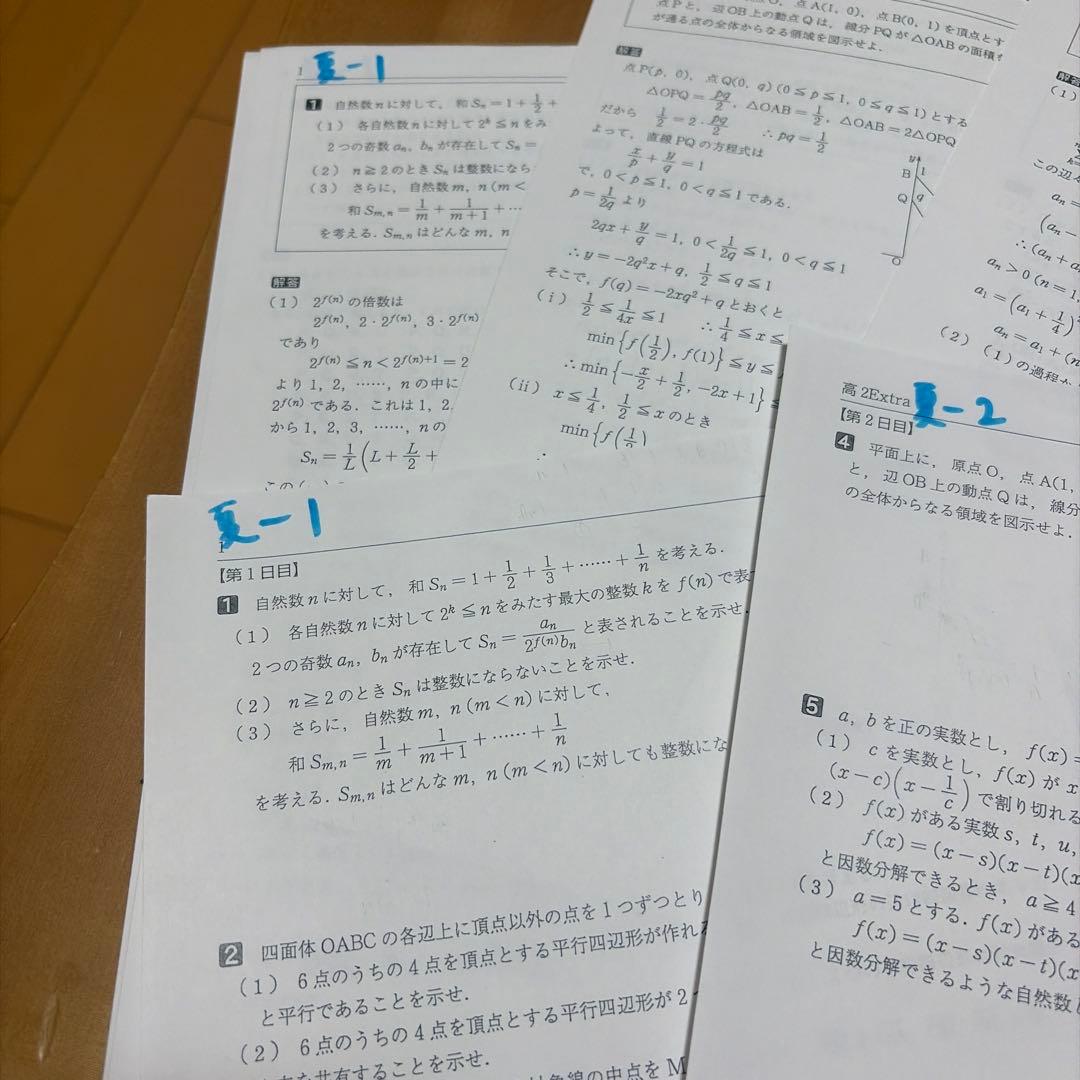 【夏期フルセット】駿台高二エクストラ数学α　全4日程！テスト➕解説プリントセット