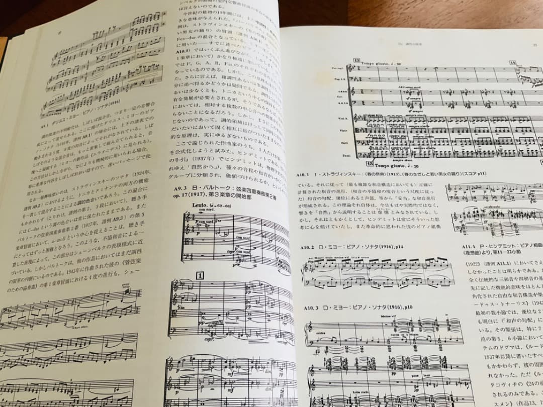 大型本　20世紀の作曲　現代音楽の理論的展望　バルターキーゼラー著