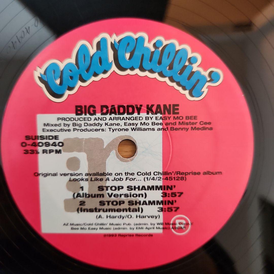 BIG DADDY KANE VERY SPECIAL ジャケ付きプロモ