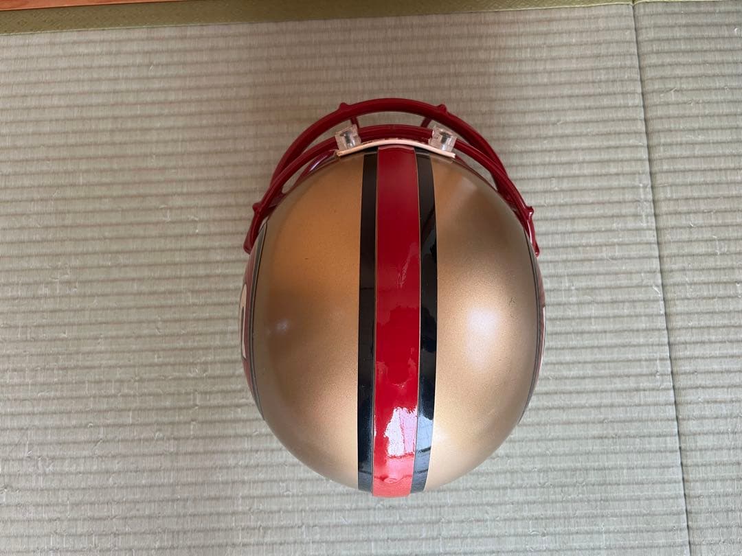 San Francisco 49ers Riddell ヘルメット　プロライン