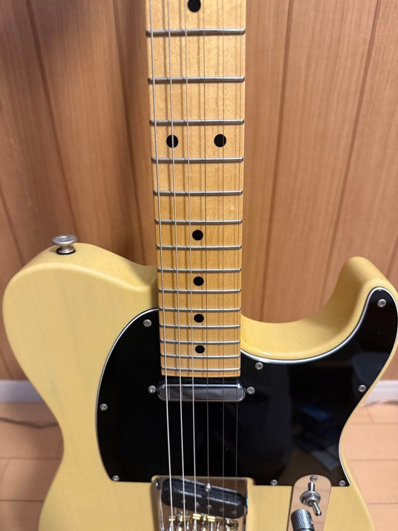 Momose MT2-STD/M BBD MOD テレキャスター MG-T