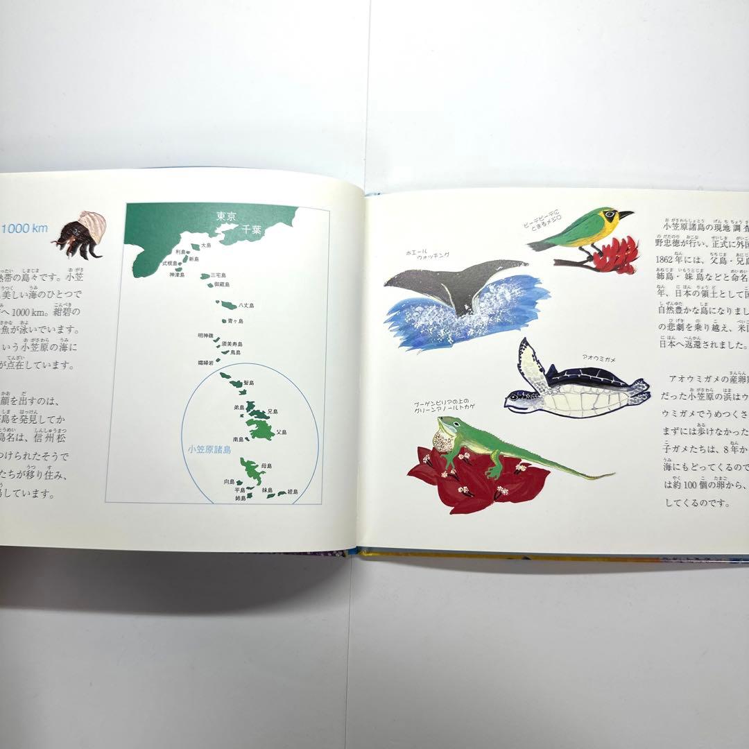 【2点購入150円引】あおうみがめの旅　大浜勝彦　大浜空