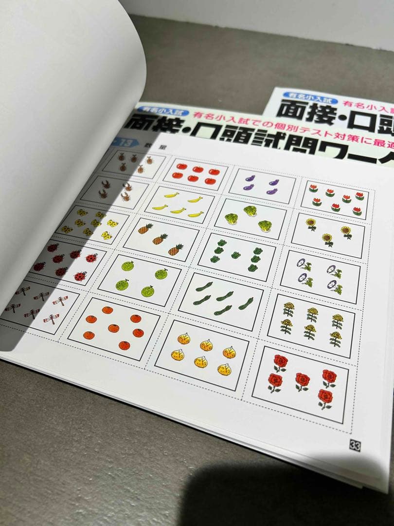 しょうがく社 まとめ売り お受験 小学校受験 合格ワーク100 面接口頭試験集中