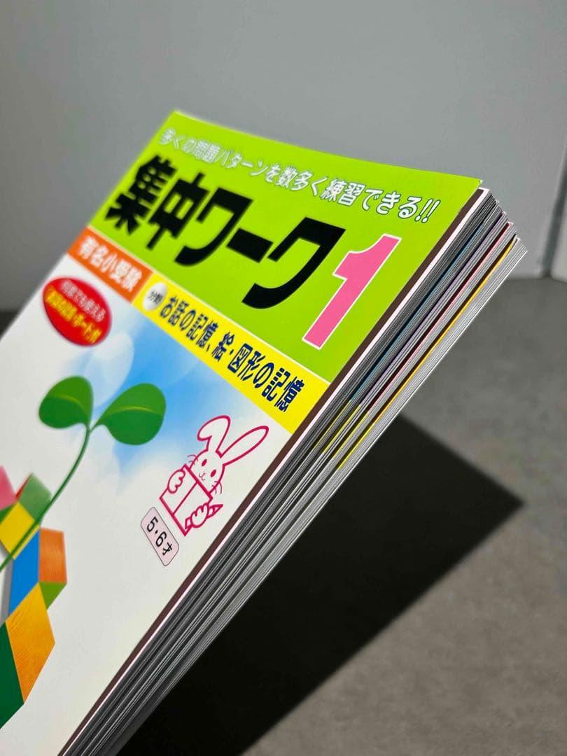 しょうがく社 まとめ売り お受験 小学校受験 合格ワーク100 面接口頭試験集中