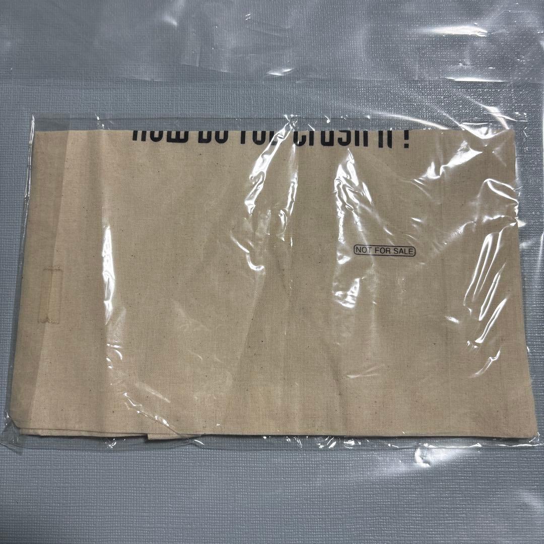 TM NETWORK/How Do You Crash It? ミニバッグ付き