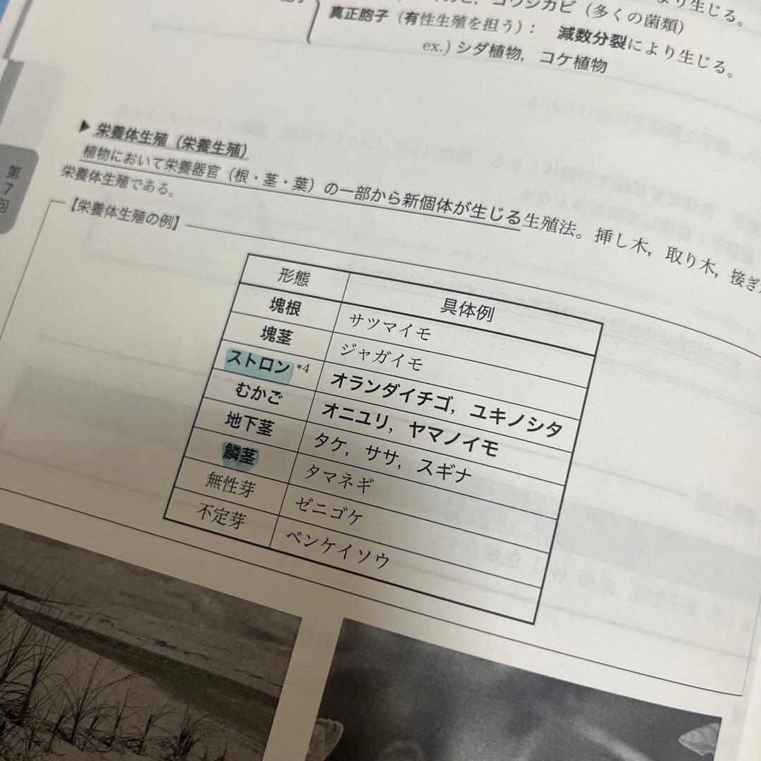 鉄緑会高2生物基礎講座テキスト問題集4冊セット&解答解説プリント【断捨離中】