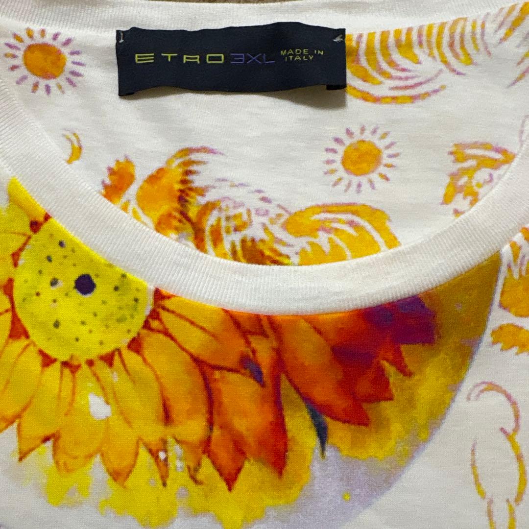 ETRO エトロ　デザインTシャツ