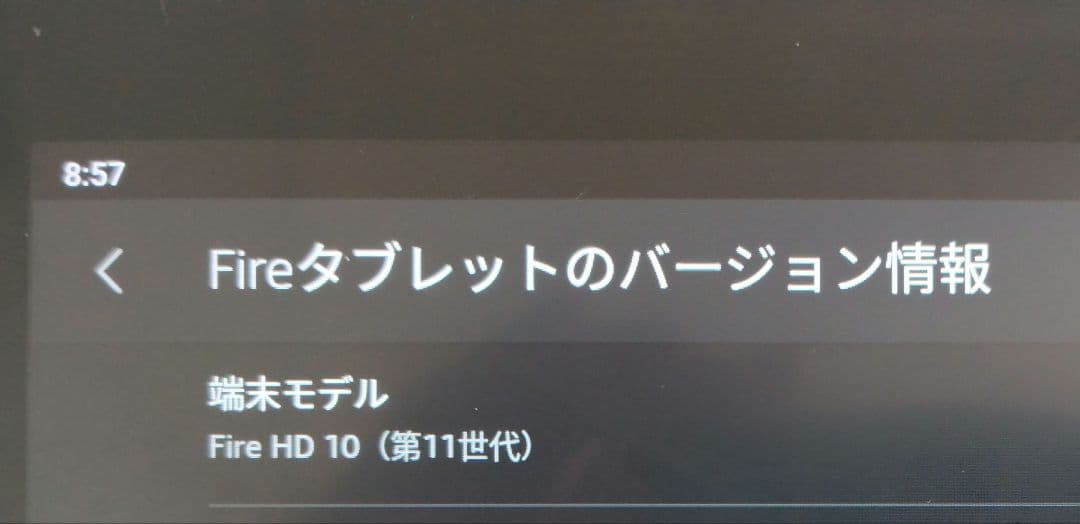 Fire HD 10 キッズモデル (第11世代) スカイブルー　初期化・清掃済