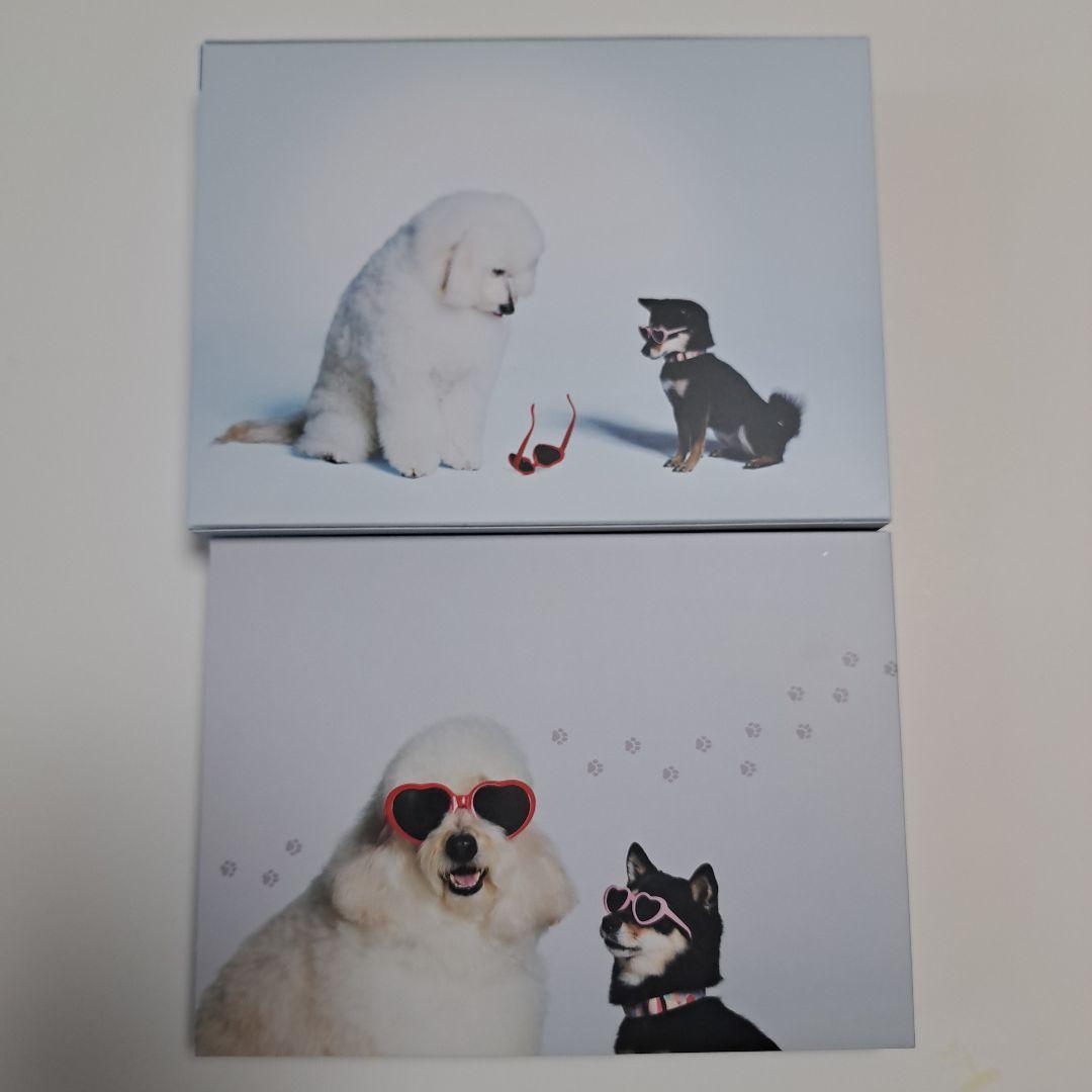 初恋DOGs DVD-BOX 清原果那 成田凌 ナ・イヌ 萩原利久