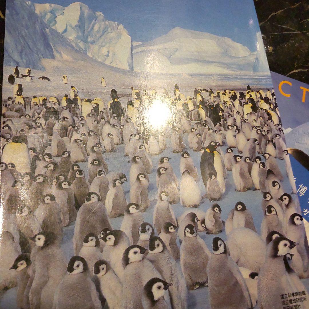 半券付き ふしぎ大陸 南極展 日本南極観測４０周年記念