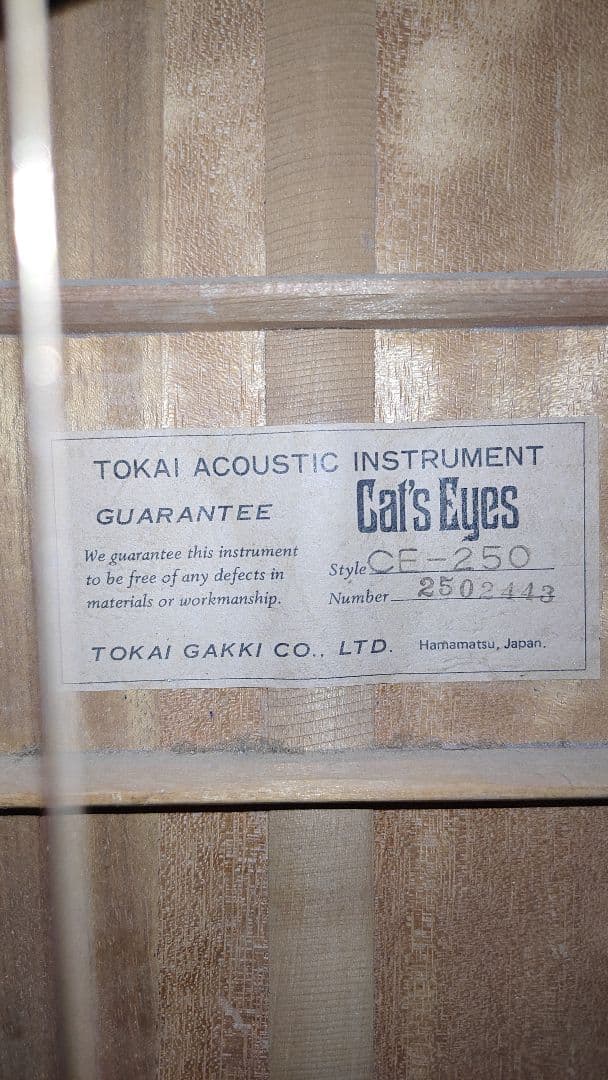 ギター Cats Eyes CE-250