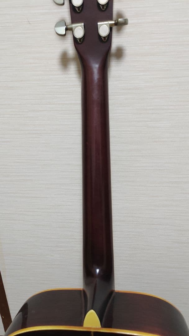 ギター Cats Eyes CE-250