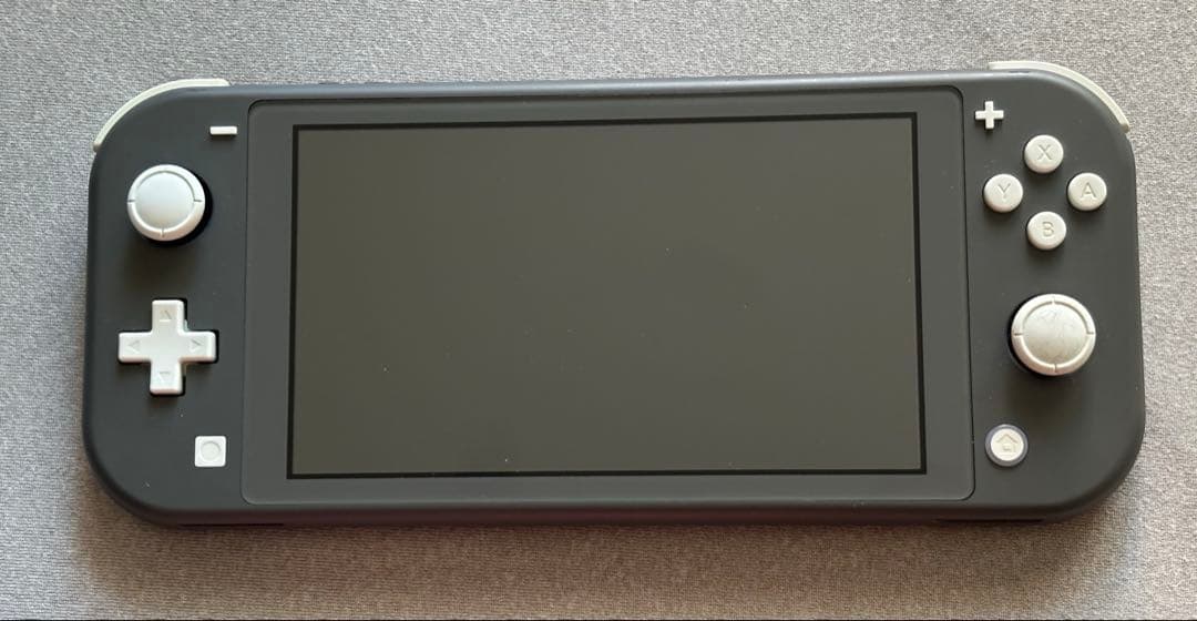 Nintendo Switch Lite スイッチライト グレー 充電器・箱付