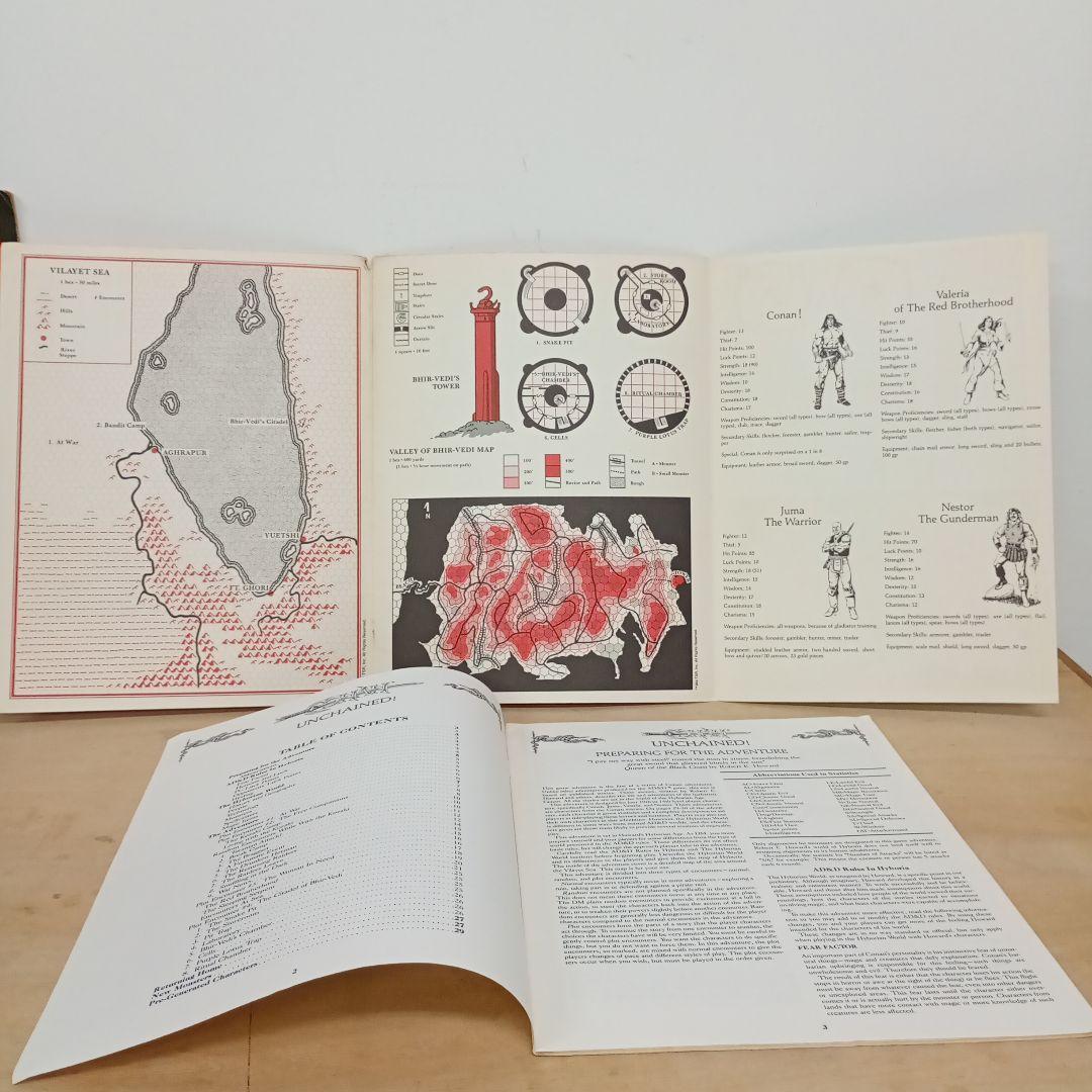 【信】TRPG 洋書 ダンジョンズ&ドラゴンズ CONAN UNCHAIND