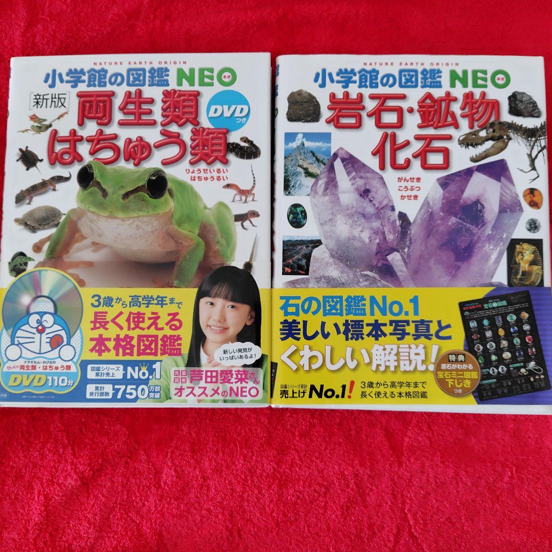 図鑑8冊セット