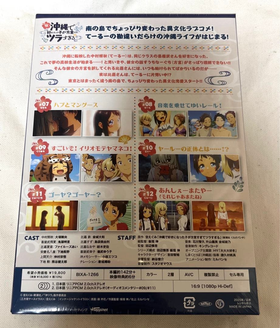 沖縄で好きになった子が方言すぎてツラすぎる 2