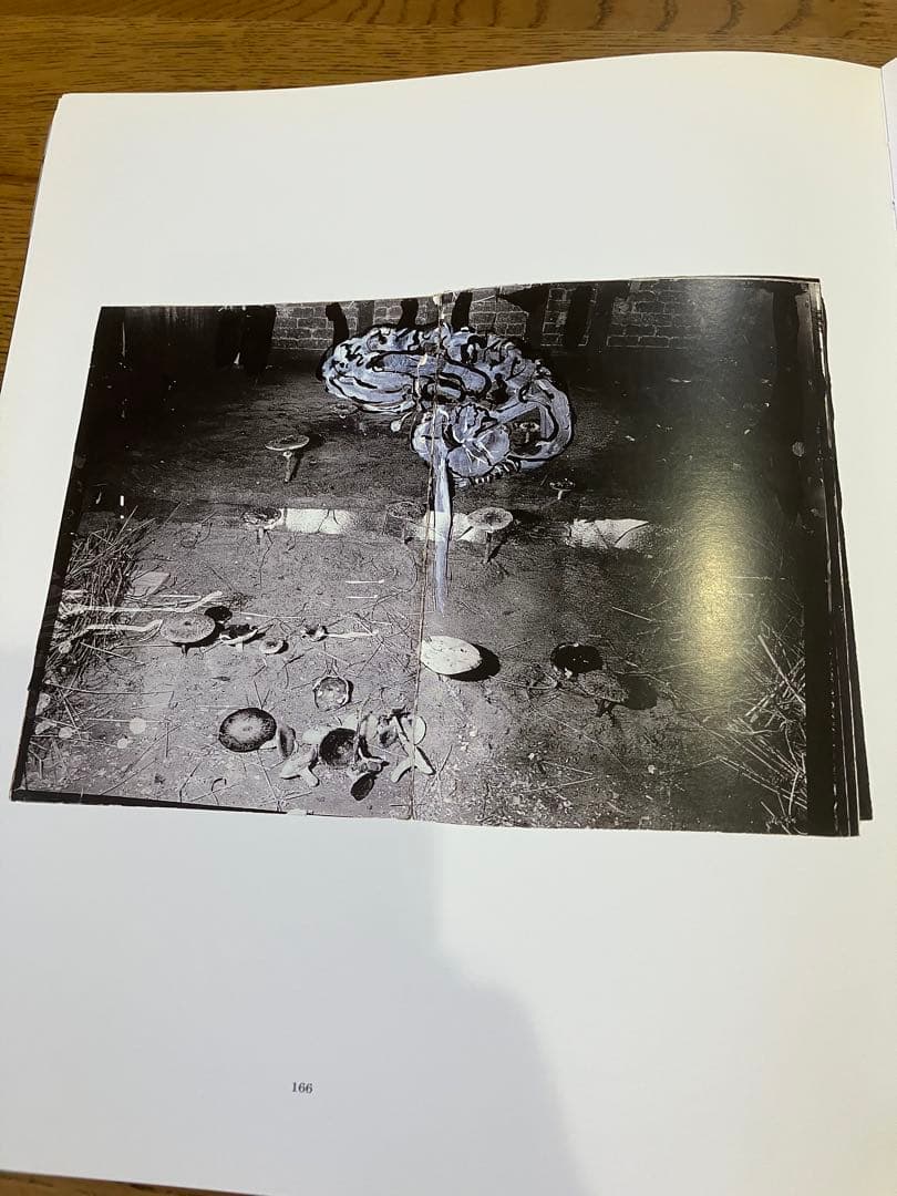 アート・デザイン・音楽 Anselm Kiefer Venezia contemporaneo