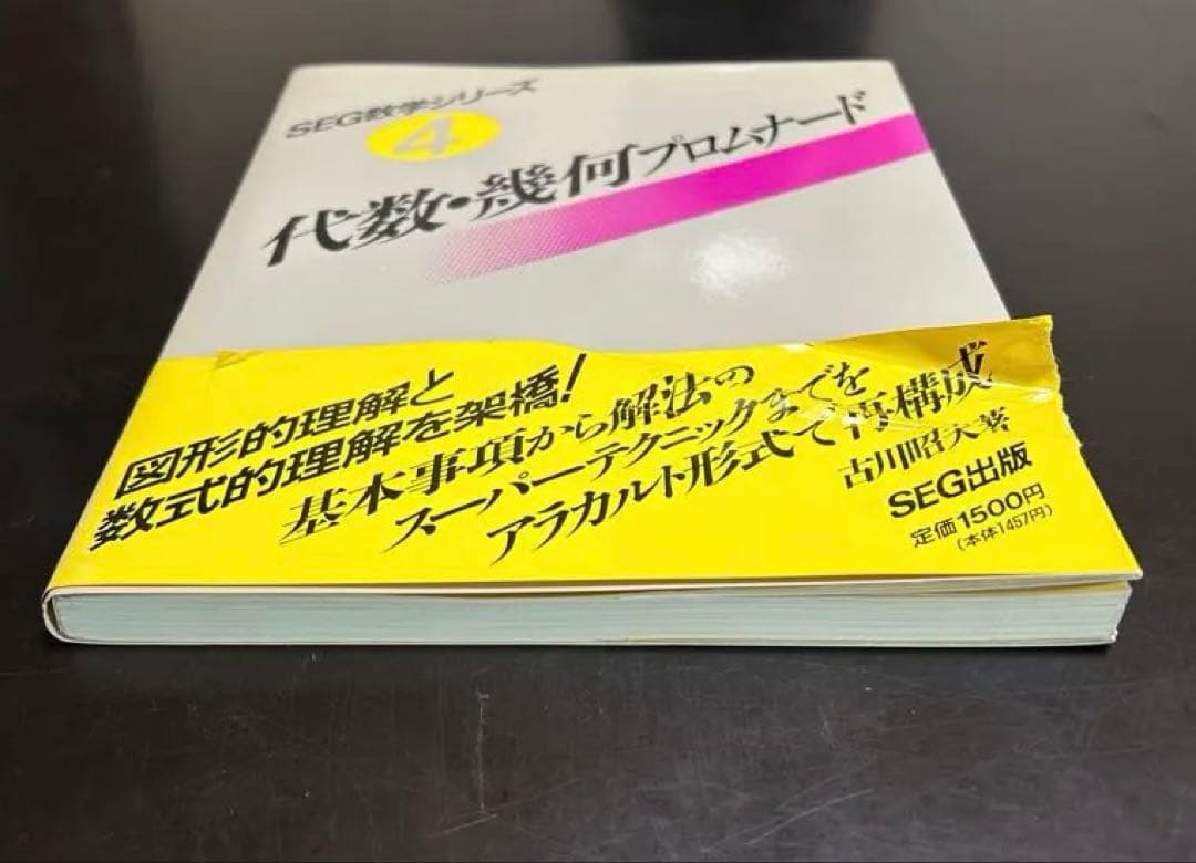 【初版】代数・幾何プロムナード　SEG数学シリーズ 4