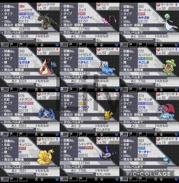 【ポケモン】ブラック2 配信 6vメタモン付き 道具完備 ポケットモンスター