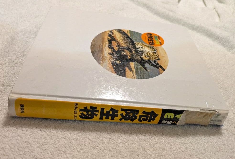 講談社の動く図鑑 MOVE 11巻セット（DVDなし）