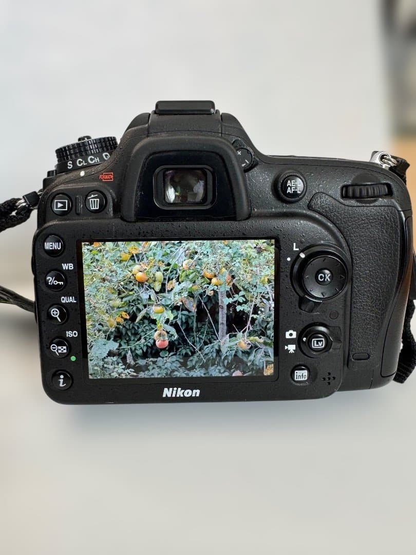 Nikon D7100 ダブルレンズセット