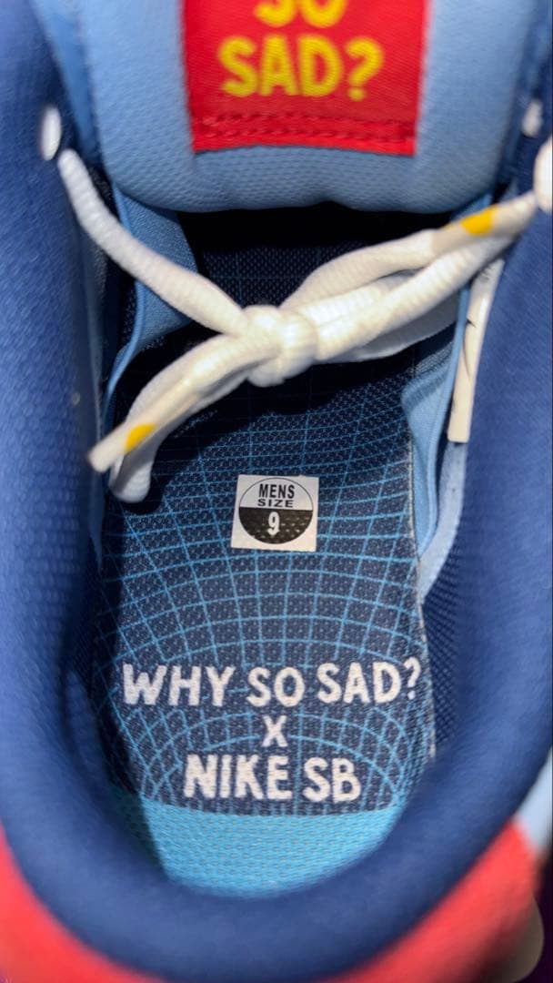 Why So Sad? × Nike SB Dunk Low ワイソーサッド