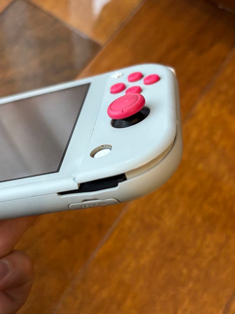 Switch Light (ザシアン・ザマゼンタ) ジャンク品