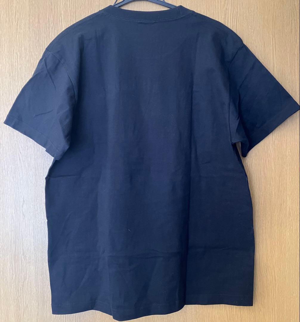 Raphael 復活ライブ 天使の檜舞台 グッズ Tシャツ タオル 華月