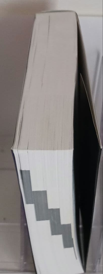 美品 Delphi 6 プログラミングバイブル Marco Cantu著CD有