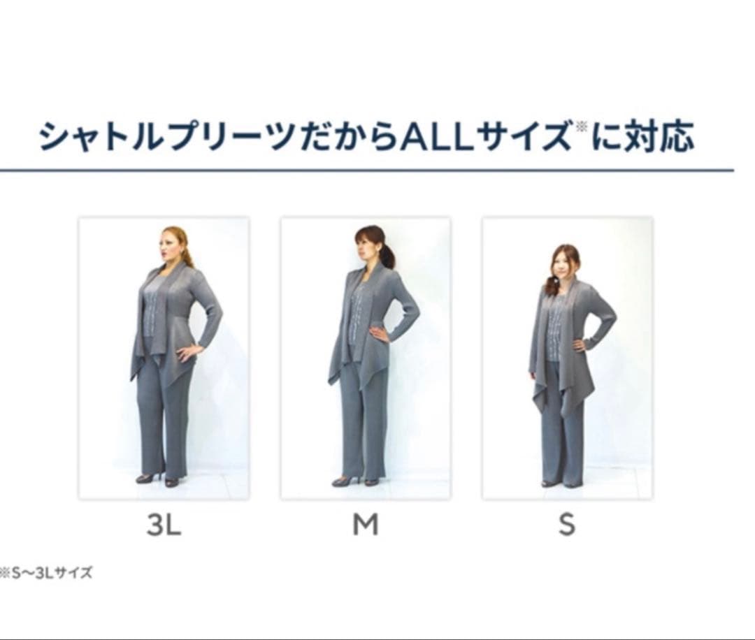 お得！SPECCHIO シャトルプリーツフリーサイズキュロットフレアパンツ