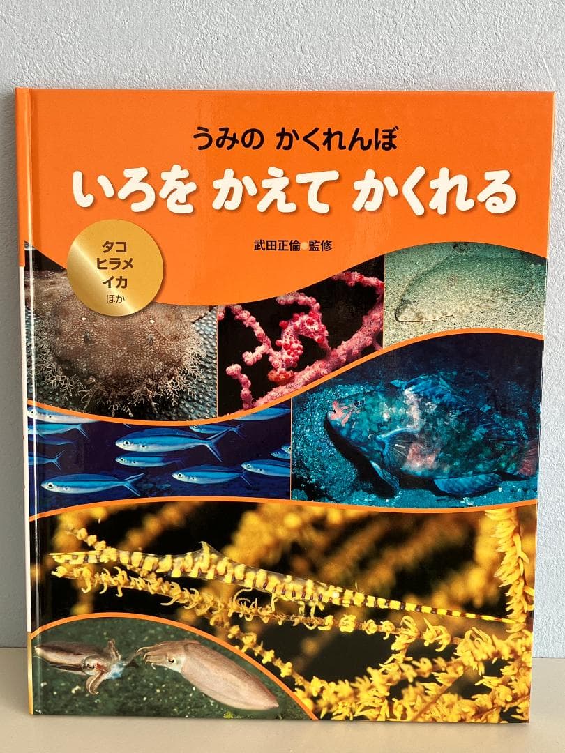 うみの かくれんぼ 全3巻セット 武田正倫 監修 もぐって かくれる 他