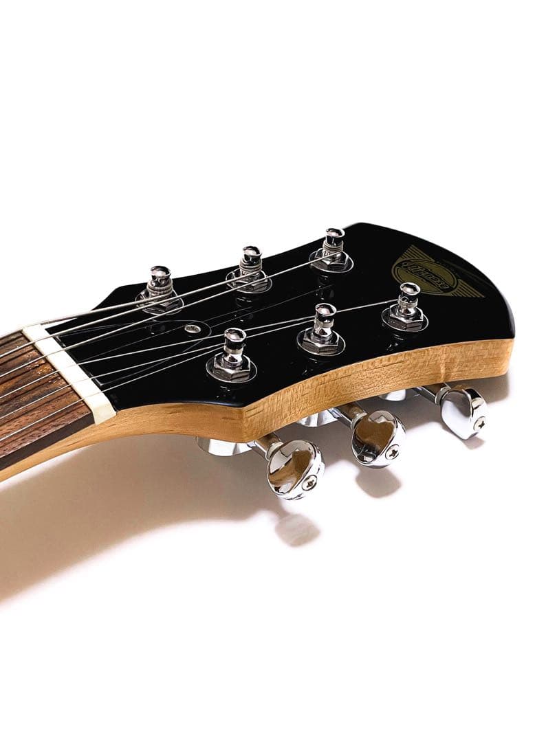 ギター PIGNOSE GUITAR PGG-200 CA