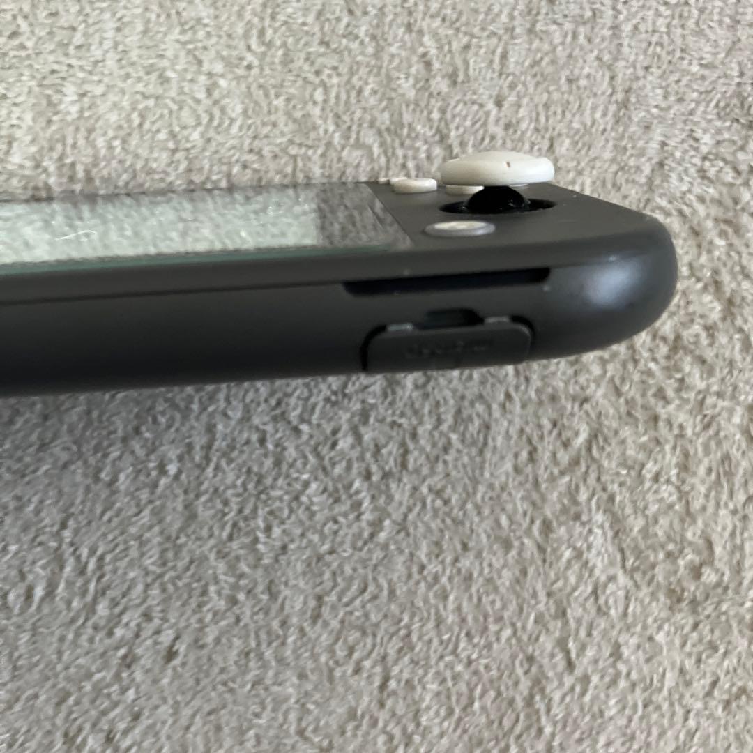 Nintendo Switch Lite グレー　 ケース付き