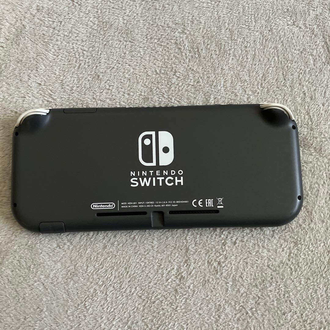 Nintendo Switch Lite グレー　 ケース付き