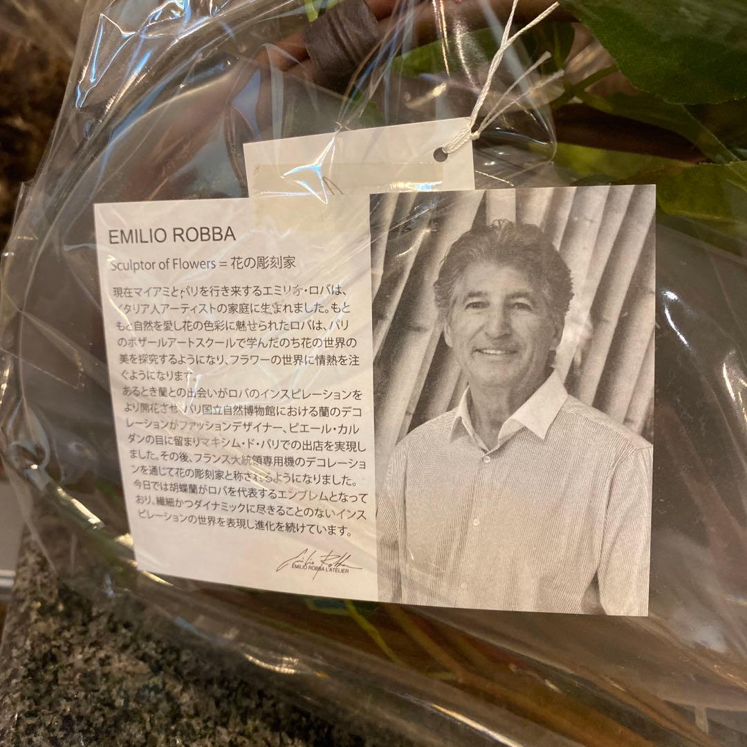エミリオロバ EMILIO ROBBA Emilio Robba 造花