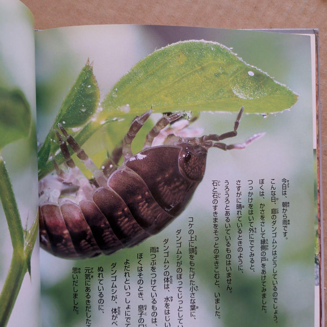 やあ！出会えたね　ダンゴムシ　今森光彦　昆虫むし　図鑑　写真絵本　科学絵本