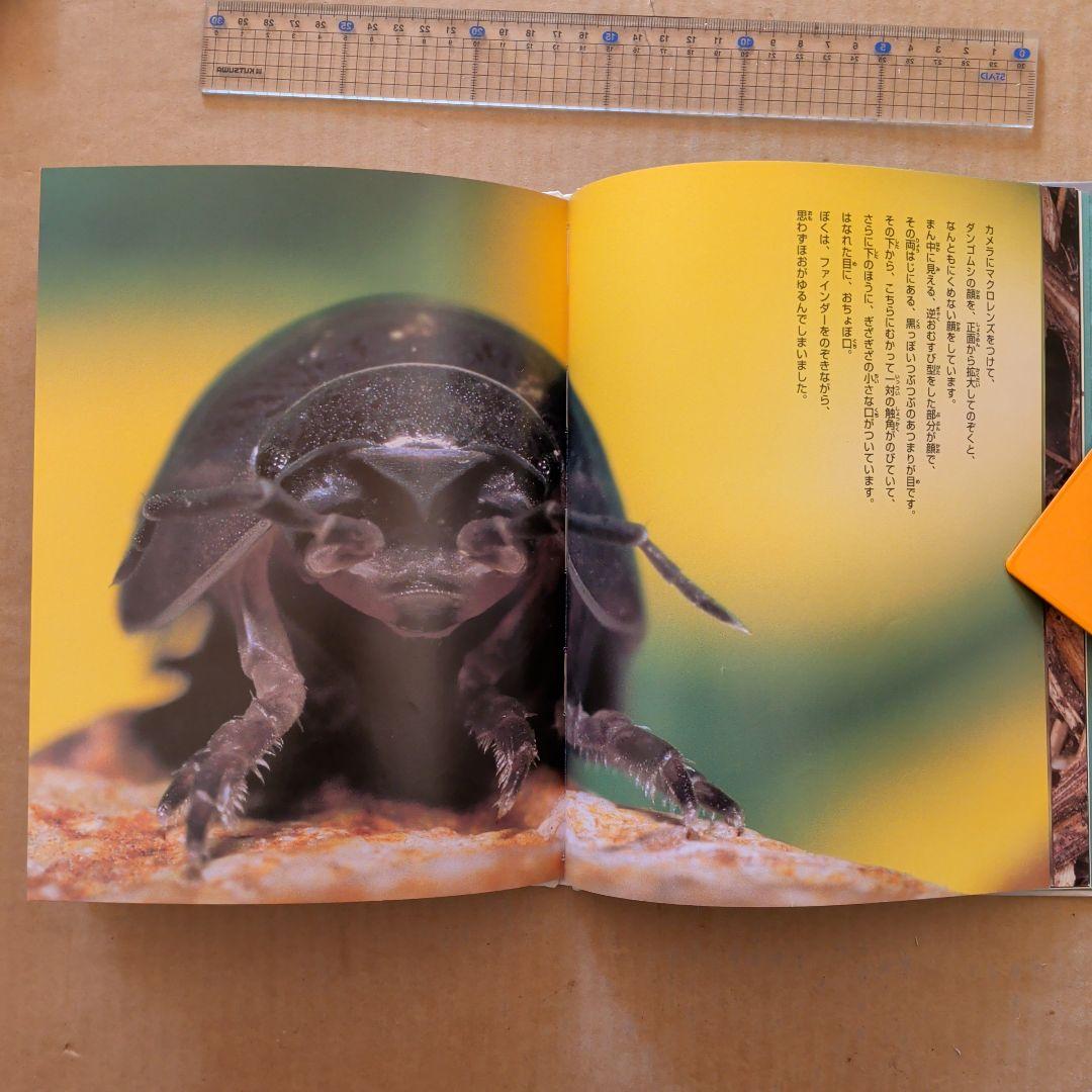 やあ！出会えたね　ダンゴムシ　今森光彦　昆虫むし　図鑑　写真絵本　科学絵本