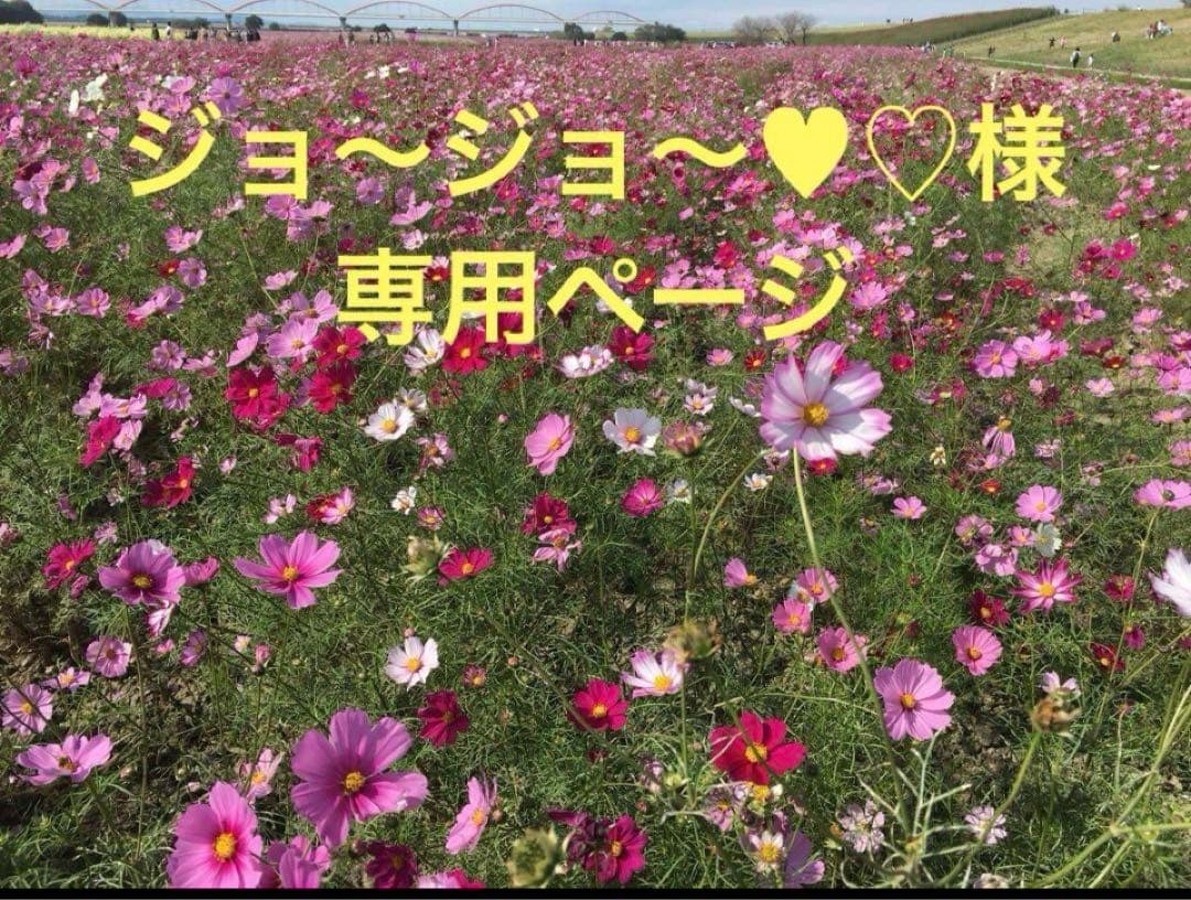 ジョ〜ジョ〜♥︎♡ページ お品４ 点